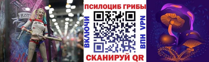 Псилоцибиновые грибы Psilocybe  Заозёрск 